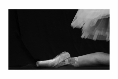 Danza